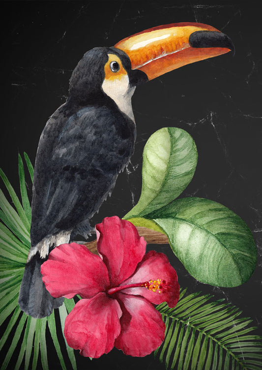 Toucan Decoupage Paper - Same Day Shipping - Mint by Michelle - Furniture Applique