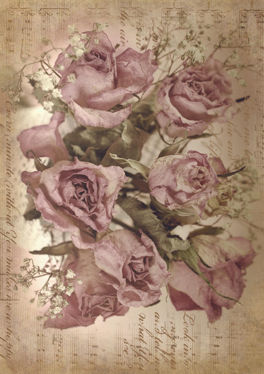 Sepia Rose Song A1 Rice Decoupage Paper - Same Day Shipping - Dixie Belle - Furniture Applique
