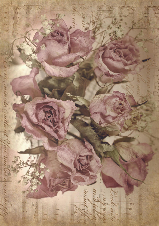 Sepia Rose Song A1 Rice Decoupage Paper - Same Day Shipping - Dixie Belle - Furniture Applique