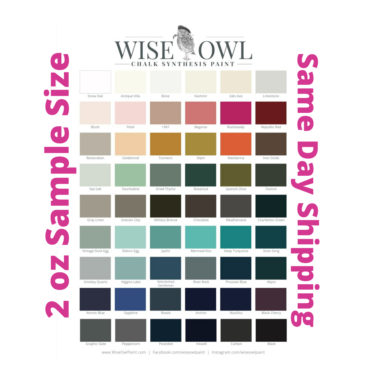 Wise Owl Chalk Synthesis Paint 2 oz Sample - Same Day Shipping - Chalk Paint for Furniture and Cabinets - belleandbeau850