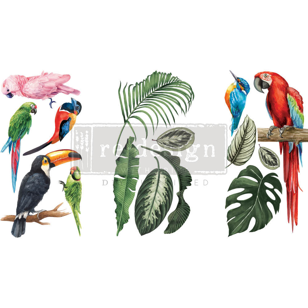 Tropical Birds small transfer by Redesign with Prima 6"x12" - Same Day Shipping - Rub On transfers - Decor transfers - furniture transfers - belleandbeau850