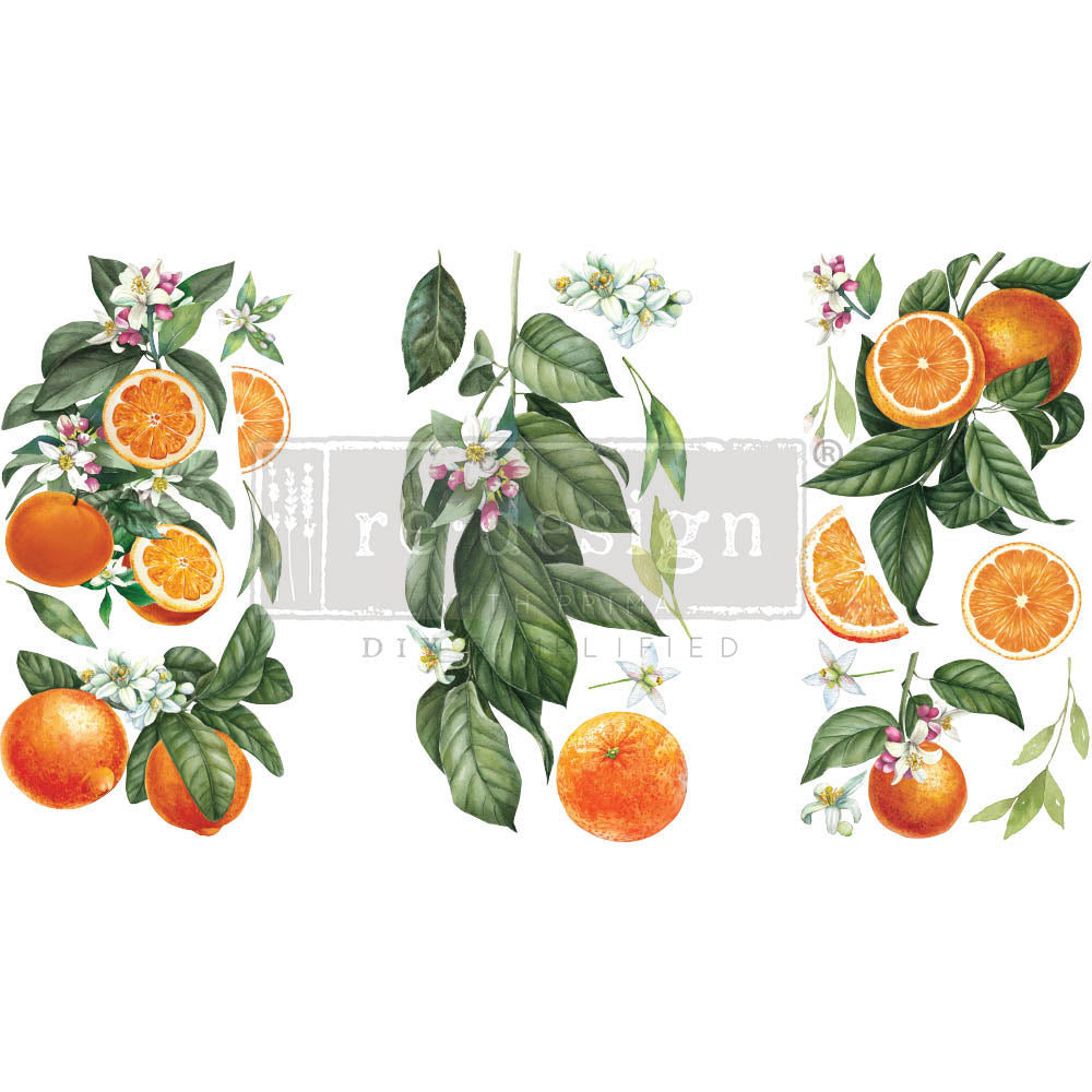 Citrus Slice small transfer by Redesign with Prima 6"x12" - Same Day Shipping - Rub On transfers - Decor transfers - furniture transfers - belleandbeau850