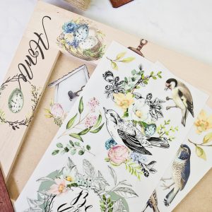 Garden Marvels small transfer by Redesign with Prima 6"x12" - Same Day Shipping - Bird Decor transfer - Rub on Furniture Transfers - belleandbeau850