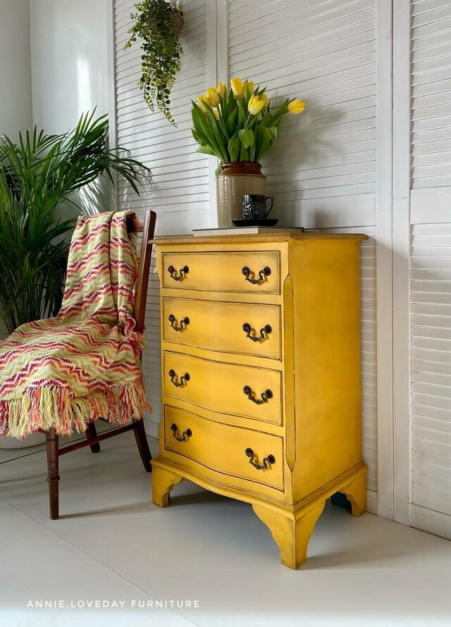 Colonel Mustard Dixie Belle Chalk Mineral Paint - Same Day Shipping - No VOC - Chalk Paint for Furniture and Cabinets - Water Based Paint - belleandbeau850