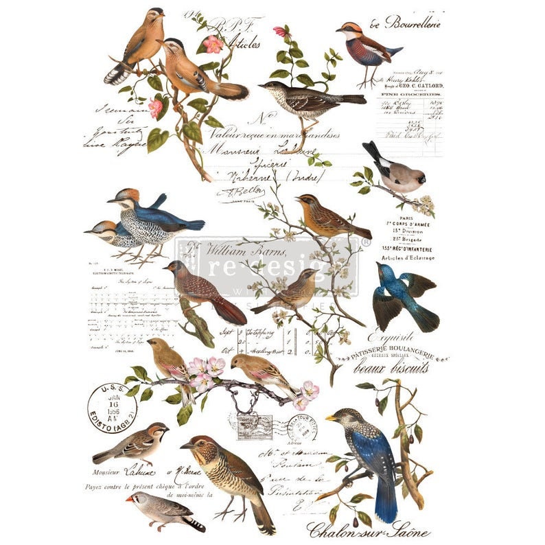 Postal Birds transfer by Redesign with Prima 24"x35" - SAME DAY Shipping - belleandbeau850