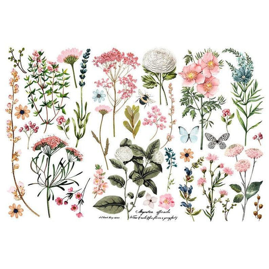 Botanical Paradise transfer Redesign with Prima 6"x12" - Same Day Shipping - Rub on Transfer - Furniture Decals - Small Transfers - Floral - belleandbeau850