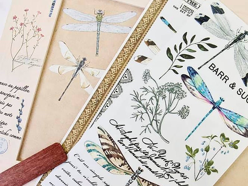 Spring Dragonfly transfer by Redesign with Prima 6"x12" - Same Day Shipping - Rub on Transfers - Small Transfers - Furniture Transfers - belleandbeau850