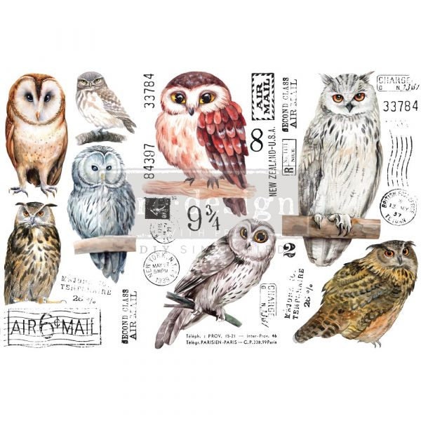 Owl transfer by Redesign with Prima 6"x12" - Same Day Shipping - Small Transfers - Furniture Transfers - Rub on Transfer - Décor Transfers - belleandbeau850