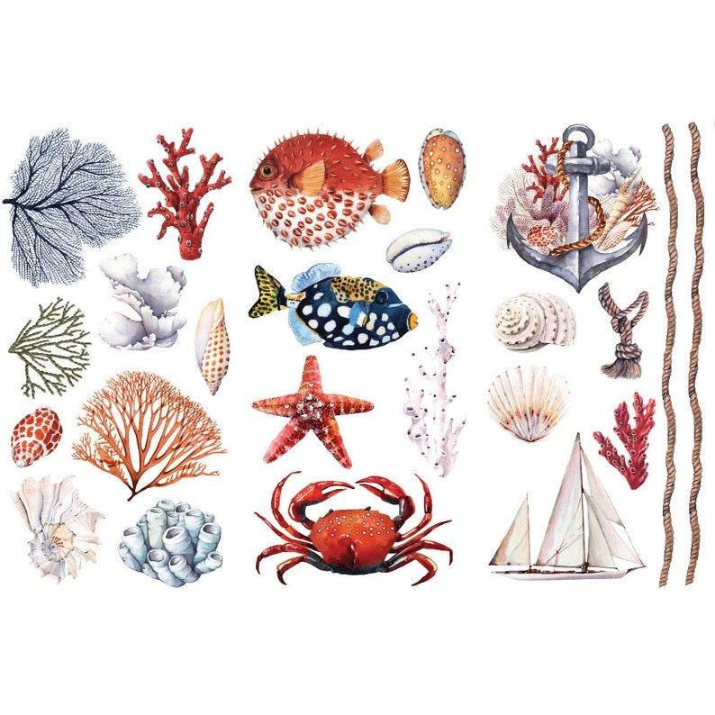 Amazing Sea Life small transfer by Redesign with Prima 6"x12" - Same Day Shipping - Rub On transfers - Decor transfers - furniture transfers - belleandbeau850