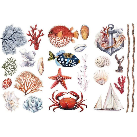 Amazing Sea Life small transfer by Redesign with Prima 6"x12" - Same Day Shipping - Rub On transfers - Decor transfers - furniture transfers - belleandbeau850